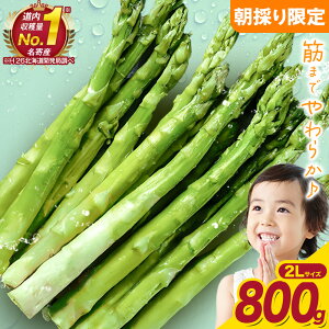 yӂ邳Ɣ[ŁẑAXpKX Iׂ LTCY(800g) ܂ LTCY(1kg) ܂ 2LTCY(800g) s2026N5{-5{oח\tkC s  ̂ VN AXp