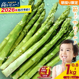 【ふるさと納税】先行予約 | 極太 朝採りアスパラガス 選べる3サイズ 800g/1kg/2L 高レビュ 北海道 名寄市産 産地直送 シャキシャキ 甘い 露地栽培 新鮮 5月旬 BBQ ソテー サラダ お中元 送料無料