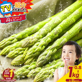 【ふるさと納税】TVで紹介!2027年 出荷 先行予約 極太 朝採り アスパラガス 選べる3サイズ 800g/1kg/2L 高レビュー 北海道 名寄市産 産地直送 シャキシャキ 極甘 甘い 露地栽培 新鮮 5月旬 BBQ ソテー サラダ お中元 送料無料 《2027年5月中旬-6月中旬頃出荷》