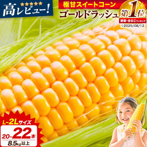 yӂ邳Ɣ[Łzys\zƂ낱 Ɋ XC[gR[ u S[hbV v 5kg ȏ 11`13{ 8.5kg ȏ 20`22{ y2026N8{-9{oׁz  kC  R[ Ȃ