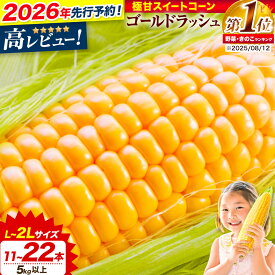 【ふるさと納税】【先行予約】とうもろこし 極甘 スイートコーン 「 ゴールドラッシュ 」 5kg 以上 11〜13本 8.5kg 以上 20〜22本 【2026年8月上旬-9月中旬頃出荷】 特大 北海道 野菜 コーン なよろイエロー 名寄イエロー