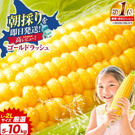 【ふるさと納税】先行予約 ランキング 常連 2027年出荷 極甘 ゴールドラッシュ とうもろこし 選べる 5kg/8.5kg 北海道 名寄市産 朝採り 産地直送 送料無料 なよろ イエロー なよろ ホワイト コーンスープ 送料無料 おいしい 《2027年 8月上旬-9月中旬頃出荷》
