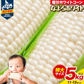 【ふるさと納税】とうもろこし ホワイトコーン 「 なよろホワイト 」 5kg 以上 11～13本 8.5kg 以上 20～22本 【2025年8月上旬-9月中旬頃出荷】 特大 サイズ北海道 朝採り 真空予冷 冷蔵 高糖度 ピュアホワイト トウモロコシ ギフト お中元 コーン
