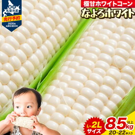 【ふるさと納税】とうもろこし ホワイトコーン 「 なよろホワイト 」 5kg 以上 11〜13本 8.5kg 以上 20〜22本 【2026年8月上旬-9月中旬頃出荷】 特大 サイズ北海道 朝採り なよろホワイト　名寄ホワイト　真空予冷 冷蔵 高糖度 ピュアホワイト トウモロコシ お中元 コーン