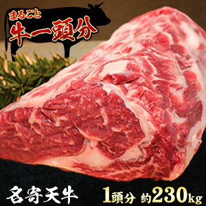 yӂ邳Ɣ[ŁzkC s j`{Y ȂV 1s񕍂2OtkC s   [X q o  J^ Ef o[xL[ Xe[L ē uߕ