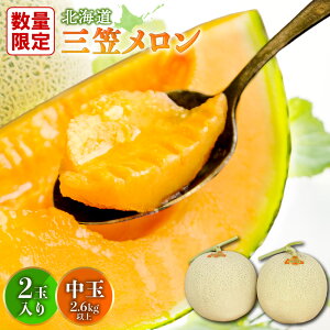 yӂ邳Ɣ[Łzs2026NttƂ낯HƊÂkCO}2ʓi2.6kgȏjb  s\ 2 t[c 2.6kg ʕ fU[g O {  蕨 ӂ邳Ɣ[