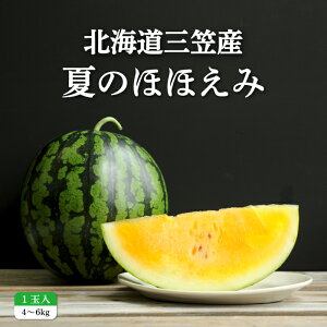 yӂ邳Ɣ[Łzs2026NttXCJĂ̂قق1(4`6kg) | XCJ  1 4kg 5kg 6kg ʕ t[c Y  fU[g O Ă̂قق kC ӂ邳Ɣ[ O}s O}