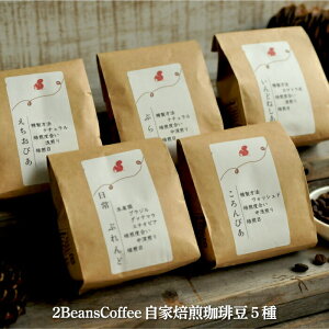 yӂ邳Ɣ[ŁzkCO}s 2 Beans CoffeeJtF  蓤Zbg(100g×5) R[q[  蓤 R[q[  coffee ӂ邳Ɣ[ kC O}s O}y06001z