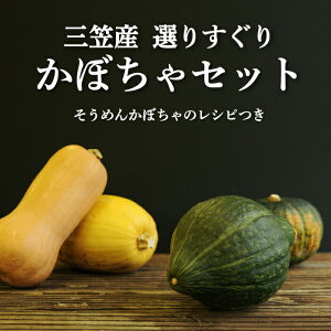 yӂ邳Ɣ[Łzsߘa7NtʌIO}sY I肷 ڂZbg(zF10{`11)b ӂ邳Ɣ[ kC O} ڂ J{` Z  H  