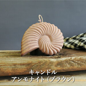 yӂ邳Ɣ[ŁzLhAiCgiuEjy38010z