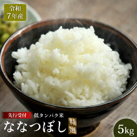 【ふるさと納税】【令和7年産】最もおいしいとされるお米（低タンパク米）『ななつぼし（特選）』(5kg)《10月頃より発送予定》｜ ふるさと納税 北海道 三笠 米 コメ お米 北海道米 ブランド米 ご飯 ごはん ワンストップ マイページ 富田農場 三笠市【4100201】