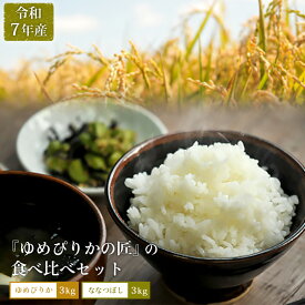 【ふるさと納税】【令和7年産】『ゆめぴりかの匠』の食べ比べセット　ゆめぴりか＋低タンパク米ななつぼし各3kg《10月より発送予定》｜ ふるさと納税 北海道 三笠 米 コメ お米 北海道米 ブランド米 ご飯 ごはん ワンストップ マイページ 富田農場 三笠市【4100301】