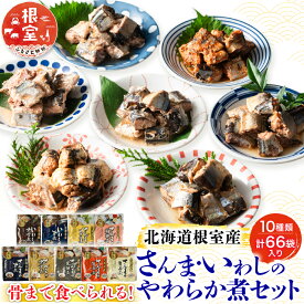 【ふるさと納税】 [北海道根室産] 骨まで食べれる！さんま・いわしのやわらか煮セット 秋刀魚 サンマ 鰯 イワシ お取り寄せ グルメ 海鮮 加工品 北海道 根室市 ふるさと納税 C-09005