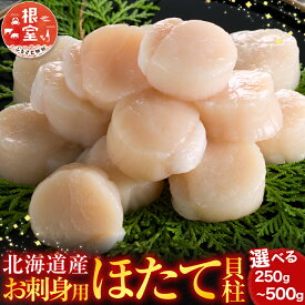 【ふるさと納税】 お刺身用ほたて貝柱 選べる 250g 500gホタテ ほたて 帆立 帆立貝柱 ほたて貝柱 ホタテ貝柱 貝柱 貝 かい カイ お取り寄せ グルメ 北海道 根室市 ふるさと納税