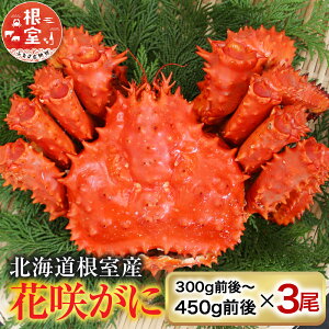 yӂ邳Ɣ[Łzy1221ϊm蕪܂ŔNzz [kCY] ԍ炩 300g O ` 450g O × 3  ԍ炪 ԍ ԍKj ԍI  Jj I  O CN kC 