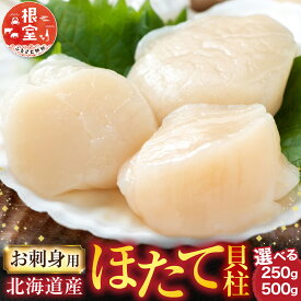 【ふるさと納税】 根室海鮮市場 ＜直送＞ お刺身用ほたて貝柱 選べる 250g 500g ホタテ ほたて 帆立 帆立貝柱 ほたて貝柱 ホタテ貝柱 貝柱 貝 北海道 根室市 ふるさと納税