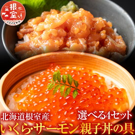 【ふるさと納税】 [北海道根室産] ＜鮭匠ふじい＞ いくら・サーモン親子丼の具 イクラ 鮭卵 鮭 サケ さけ しゃけ シャケ 醤油 醤油漬 醤油漬け 魚卵 お取り寄せ グルメ 海鮮 北海道 根室市 ふるさと納税