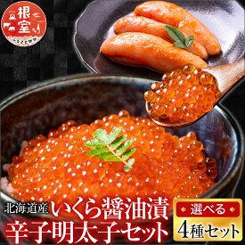 【ふるさと納税】 [北海道根室産] ＜鮭匠ふじい＞ いくら醤油漬・辛子明太子セット イクラ 醤油 醤油漬け 鱈卵 お取り寄せ グルメ 海鮮 めんたいこ からし明太子 辛子めんたいこ からしめんたいこ 魚卵 ご飯のお供 根室市 ふるさと納税