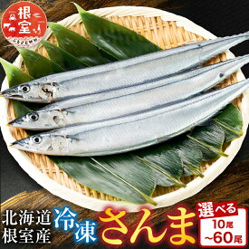 【ふるさと納税】【12月21日決済確定分まで年内配送】 [北海道根室産] 冷凍さんま 選べる 10 尾 〜 60 尾 さかな サカナ 魚 サンマ 秋刀魚 お取り寄せ グルメ 海鮮 北海道 根室市 ふるさと納税