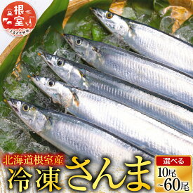 【ふるさと納税】【12月21日決済確定分まで年内配送】 [北海道根室産] 冷凍さんま 10 尾 〜 60 尾 サンマ 秋刀魚 冷凍生さんま 魚 サカナ さかな お取り寄せ グルメ 海鮮 北海道 根室市 ふるさと納税