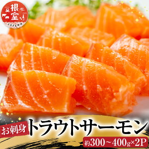 【ふるさと納税】<年内配送可> 根室海鮮市場 <直送> お刺身トラウトサーモン約 300 ~ 400g × 2P 鮭 さけ サケ しゃけ シャケ 魚 さかな サカナ 海鮮丼 カルパッチョ 刺身 フライ お取り寄せ