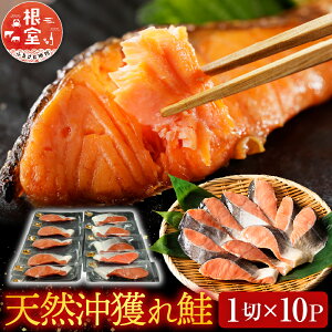 �y�ӂ邳�Ɣ[�Łz �V�R���l��� 1 �� × 10P ( �� 1kg ) �� ���� �T�P ���Ⴏ �V���P �� ������ �T�J�i ���ǂ�U�P ���ǂꂴ�� �t�U�P �t���� �t�� ���s�m ���� �g�L�V���Y �Ƃ����炸 �O���� �C�N 