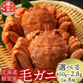 【ふるさと納税】【12月21日決済確定分まで年内配送】 [北海道根室産] 毛がに 選べる 1 尾 ~ 8 尾 カニ 蟹 かに 毛蟹 毛ガニ 海鮮 海産 お取り寄せ グルメ ボイル 茹で蟹 茹でがに 茹でガニ 浜茹で 北海道 根室市 ふるさと納税