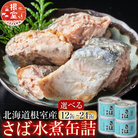 【ふるさと納税】 [北海道根室産] さば水煮缶詰 鯖 サバ 魚 さかな サカナ お取り寄せ グルメ 海鮮 サバ缶 さば缶 水煮 缶詰め 北海道 根室市 ふるさと納税