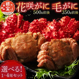 【ふるさと納税】【12月21日決済確定分まで年内配送】 花咲がに 500g 前後、毛がに 350g 前後セット 各 1 尾 ( 計 2 尾 ) 〜 各 4 尾 ( 計 8 尾 ) カニ 花咲ガニ 花咲蟹 毛ガニ 毛蟹 花咲 花咲かに かに 蟹 ボイル 茹で蟹 茹でがに 茹でガニ けがに ケガニ グルメ 海鮮
