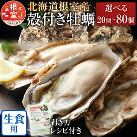 【ふるさと納税】【12月21日決済確定分まで年内配送】 【北海道根室産】貝付き牡蠣 [11月上旬以降発送] 選べる 20 個 ~ 80 個 かき カキ 貝 海鮮 海産物 お取り寄せ グルメ 酢牡蠣 蒸し牡蠣 焼牡蠣 北海道 根室市 ふるさと納税
