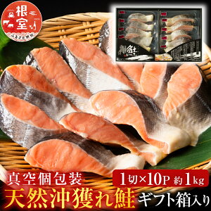 yӂ邳Ɣ[Łz VRl 1  × 10P (  1kg )   TP Ⴏ VP   TJi ǂUP ǂꂴ tUP t t sm  gLVY Ƃ炸  