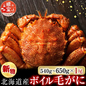 �y�ӂ邳�Ɣ[�Łz�{�C���т���540�`650g×1�� B-14123