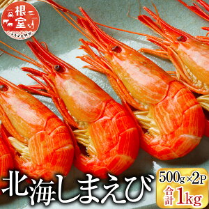 yӂ邳Ɣ[Łzy1210ϊm蕪܂ŔNzz CNs  kC܂ 500g × 2P Gr  CV V}Gr kCV}Gr ܂ Ȃ ȃGr ȊCV O CN {C