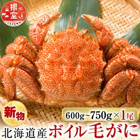 【ふるさと納税】根室海鮮市場＜直送＞ボイル毛がに600〜750g×1尾 B-28124