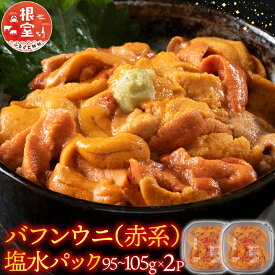 【ふるさと納税】 バフンウニ ( 赤系 ) 塩水パック 95 ~ 105g × 2P [10月下旬以降発送] うに ウニ 雲丹 バフンうに ばふんうに ウニ丼 うに丼 雲丹丼 刺身 お取り寄せ グルメ 海鮮 北海道 根室市 ふるさと納税 B-74002