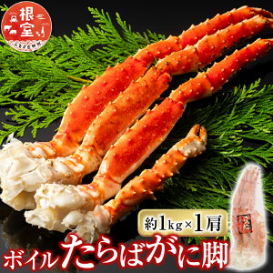 yӂ邳Ɣ[Łz {C΂ɋr 1kg × 1   ^o ^oKj ΊI ^oI  Jj I  O CN 䥂ŊI 䥂ł 䥂ŃKj kC s ӂ邳Ɣ[