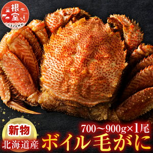 �y�ӂ邳�Ɣ[�Łz�{�C���т���700�`900g×1�� C-11059