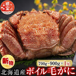 �y�ӂ邳�Ɣ[�Łz�����C�N�s�ꁃ�������{�C���т���700�`900g×1�� C-28060