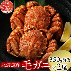 【ふるさと納税】【12月21日決済確定分まで年内配送】 浜ゆで 毛がに 350g 前後 × 2 尾 毛ガニ 毛蟹 けがに ケガニ かに カニ 蟹 お取り寄せ グルメ 海鮮 ボイル 茹で蟹 茹でがに 茹でガニ 浜茹で 北海道 根室市 ふるさと納税 A-21001