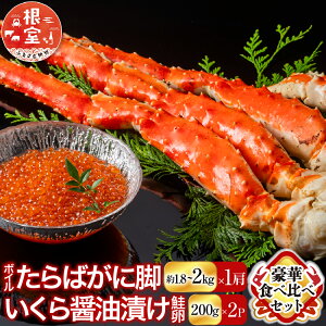 yӂ邳Ɣ[Łz{C΂ɋr1.8`2kg×1AݖЂ()200g×2P D-11056