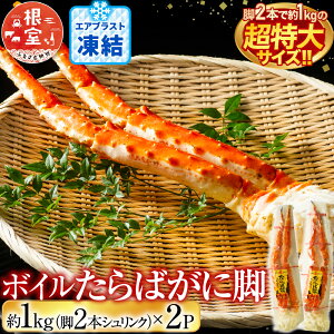 �y�ӂ邳�Ɣ[�Łz �{�C������΂��ɋr�� 1kg ( �r 2 �{�V�������N ) × 2P ( �G�A�u���X�g���� ) ����� �^���o �^���o�K�j ����ΊI �^���o�I ���� �J�j �I ������ �O���� �C�N 䥂ŊI 䥂ł�