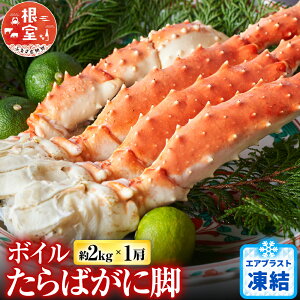 �y�ӂ邳�Ɣ[�Łz �{�C������΂��ɋr�� 2kg × 1 �� ( �G�A�u���X�g���� ) ����� �^���o �^���o�K�j ����ΊI �^���o�I ���� �J�j �I ������ �O���� �C�N 䥂ŊI 䥂ł��� 䥂ŃK�j �k�C��