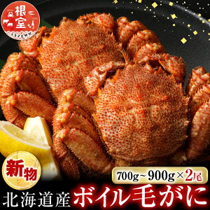 �y�ӂ邳�Ɣ[�Łz�{�C���т���700�`900g×2�� D-14057