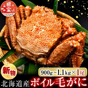 �y�ӂ邳�Ɣ[�Łz�{�C���т���900g�`1.1kg×1�� F-14029