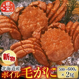 【ふるさと納税】根室海鮮市場＜直送＞ボイル毛がに500〜600g×2尾 F-28030