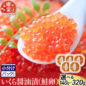 【ふるさと納税】 選べる発送月　12月発送OK　根室海鮮市場 ＜直送＞ いくら醤油漬 ( 鮭卵 ) 選べる 70g ( 2P 5P ) 160g(1P 2P) イクラ 醤油 醤油漬け 魚卵 お取り寄せ グルメ 海鮮 北海道 根室市 ふるさと納税