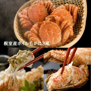 yӂ邳Ɣ[Łz [kCY] {C т 300g × 3  ъI  PKj  Jj I  O CN 䥂ŊI 䥂ł 䥂ŃKj kC s ӂ邳Ɣ[ C-01062
