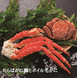 yӂ邳Ɣ[Łz ΂ɋrƃ{Cт уKj ъI  PKj  Jj I  O CN 䥂ŊI 䥂ł 䥂ŃKj  ^o ^oKj ΊI ^oI k