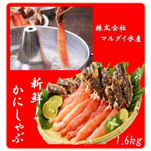 yӂ邳Ɣ[Łz ΂ɗ _ |[V 1.6kg  ^o ^oKj ΊI ^oI  Jj I  O CN {C 䥂ŊI 䥂ł 䥂ŃKj Ԃ X