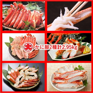 yӂ邳Ɣ[Łz_NzԂɍ܂I^  r 2  ( v 2.95kg ) YCKj YC 킢 YCI 킢I Jj I  ^o ^oKj ΂ ΊI ^oI O